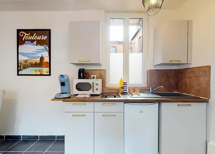 Pouvillon Proche Zenith - Centre Toulousain Apartament